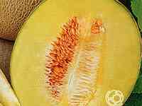 Семена Дыня Паспорт F1 5шт