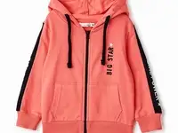 Толстовка roxyfoxy