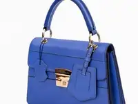 Сумка aizhan assenbayeva