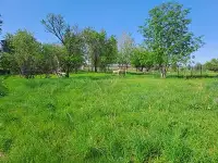 Бизнес сотрудничество