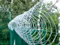 СББ Егоза - колючая проволока, фотография 2