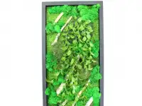 Картины из стабилизированного мха, фотография 3