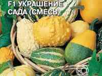 Семена Тыква Украшение Сада F1 (смесь) декорат.