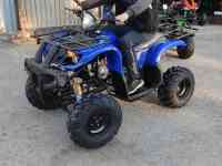 Квадроциклы 50,110,125,250сс, фотография 11