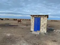 Продам крестьянское хозяйство в 100 км от Уральска, фотография 11