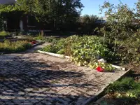 Продам дачу на Первомайских прудах (Ардагер-Ветеран), фотография 8