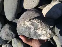 Мраморная крошка и галька. Камни для ландшафта, фотография 3