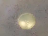 Декоративная штукатурка, фотография 9