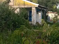 Дача в аренду.бакша жала берлед, Саздинское водохранилище