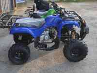 Квадроциклы 50,110,125,250сс, фотография 4
