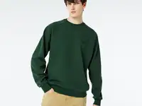 Мужская толстовка lacoste