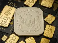 Инвестиционное предложение от ITER AD LIBERTATEM MB CONSORTIUM, фотография 5