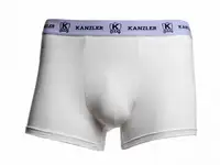 Трусы kanzler