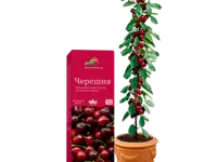 Гибридные Мини-деревья, фотография 5