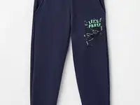 Брюки спортивные elementarno