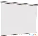 Экран настенный lumien lep-100124 170x272 см