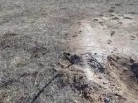 Продам участок 15 сот В Александровке, 4-микрорайон  37 ориентировочно, фотография 5