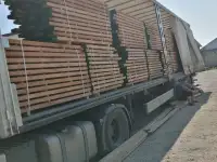 Пиломатериалы из дуба, бука, ясеня., фотография 11