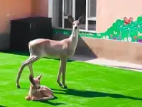 Изготовление скульптур, статуэток, сувениров, фотография 9