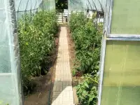 Продам дачу с мансардой в районе с. Кожохова рядом Усть-Каменогорск, фотография 6