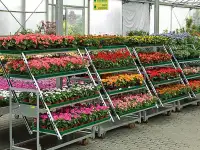 Тележка-трансформер Кабриолет, фотография 3