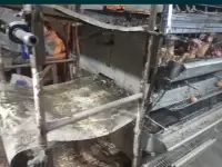 Оборудование для содержания кур несушек, фотография 3