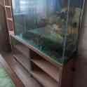 Продам дешево, панорамный аквариум с крышкой 93х63х23(135литров), фотография 2