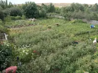 Продаю дачу, фотография 2