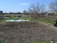 Продается дача 23 сотки, в поселке Акши, Енбекшиказахский район 66 км, фотография 10