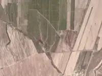 Продажа яблонево-сливовых садов в Алматинской области., фотография 3