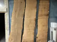 Слеб карагач., фотография 9