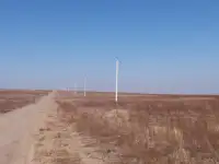 Участок 350 га в Кунаева, фотография 4