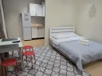 Уютная однокомнатная квартира в ЖК Alpamys, Улы Дала 31, фотография 2