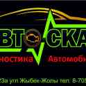 Проверка авто перед покупкой и Компьютерная диагностика всех марок  Сброс меж сервисных интервалов, подушек безопасности