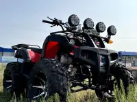 Квадроцикл 250сс на кардане, фотография 5