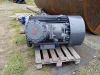 Электродвигатель взрывобезопасный ВАО2 280L 200 квт 3000об.мин., фотография 2