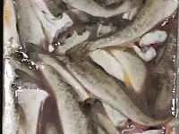 Рыба св.мороженная во Владивостоке., фотография 5