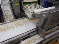 Пельменная линия Dominioni RSA 540, фотография 3