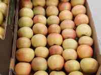 яблоки свежие, фотография 4