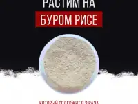 Ежовик гребенчатый, фотография 5