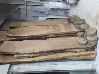 Слеб карагач., фотография 8