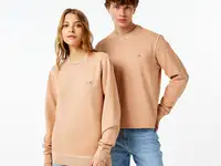 Толстовка lacoste unisex