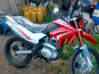 Продам лошадей и дом, ж/д станция Сокыр, фотография 4