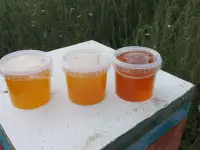 Продаем натуральный мёд, фотография 3