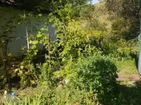 Продам дачу, фотография 2