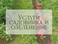 Услуги садовника и озеленение, фотография 4