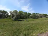 ПРОДАМ ЗЕМЛЮ! СРОЧНО! ТОРГ УМЕСТЕН., фотография 5