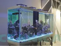 Изготовление аквариумов на заказ, фотография 3