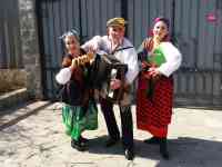 Аккордеонист/Баянист/Музыкант/Ведущий/Артисты/Цыгане, фотография 3