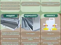 Продам брудер Профессионал 95-БР-1 Престиж на 100 цыплят, фотография 3